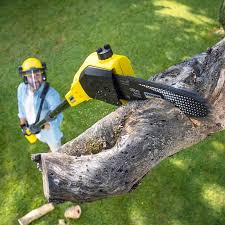 Best Arborist Consultation Services  in Hennessey, OK