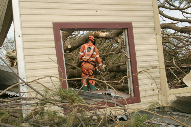 Best Tree Trimming and Pruning  in Hennessey, OK