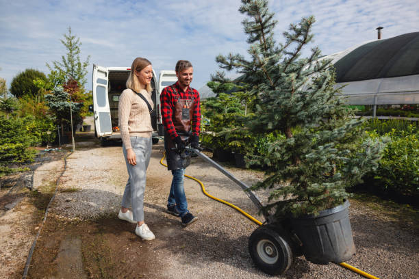 Best Organic Lawn Care Solutions  in Hennessey, OK
